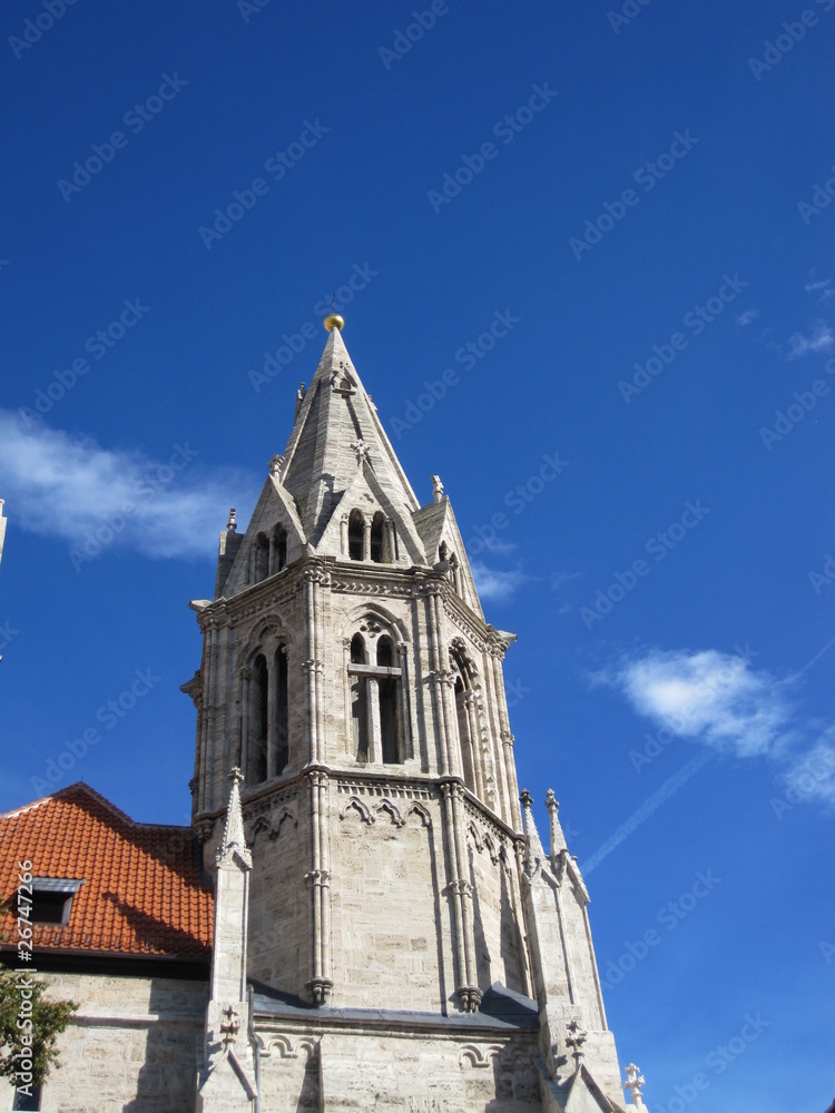 Divi Blasii Kirche in Mühlhausen