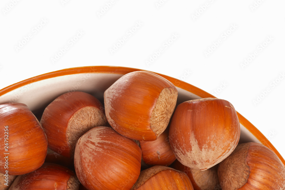 Obraz premium Hazelnuts