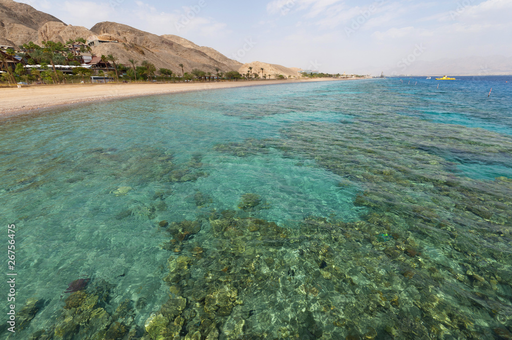 Fototapeta premium Coral reef