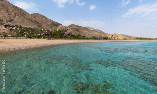 Coral reef photo