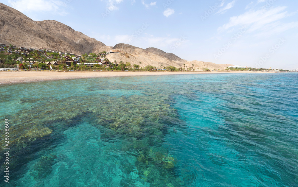 Coral Reef in Eilat