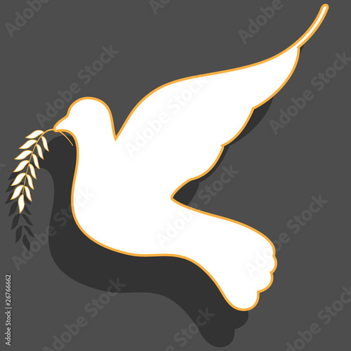 white dove