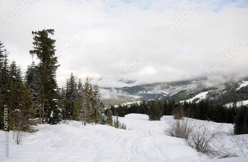 Winter in the mountains © Eugene Kalenkovich