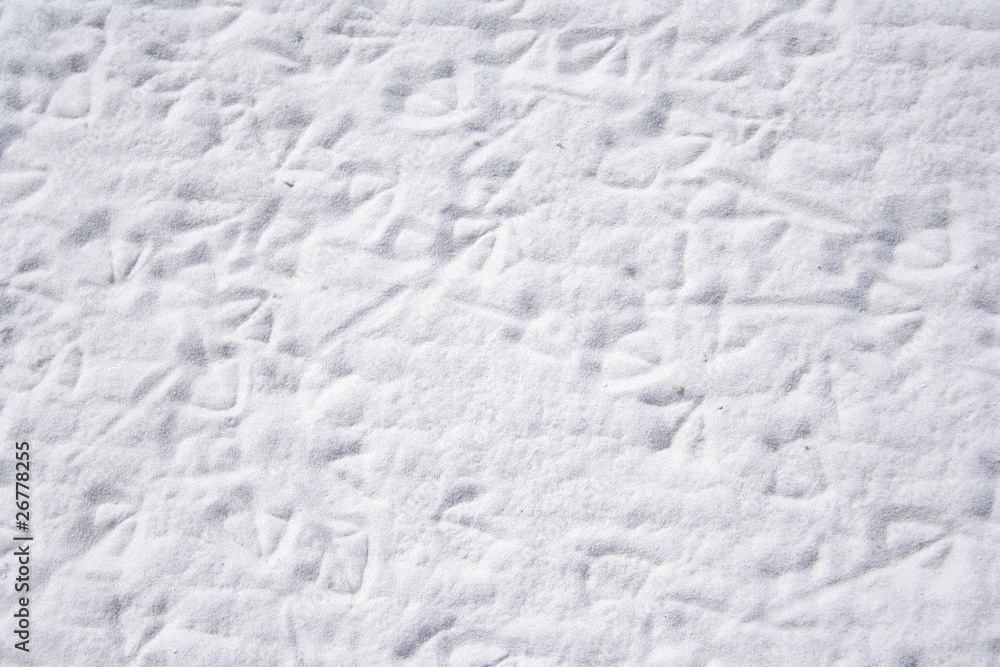 Obraz premium Beach Scenes