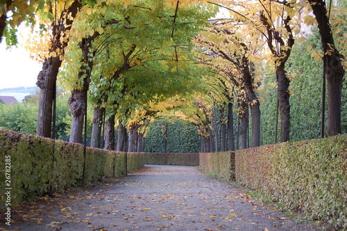 Romantic arch alley in autumn, Bavaria