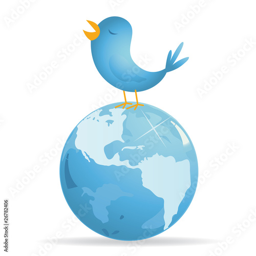 bird on earth
