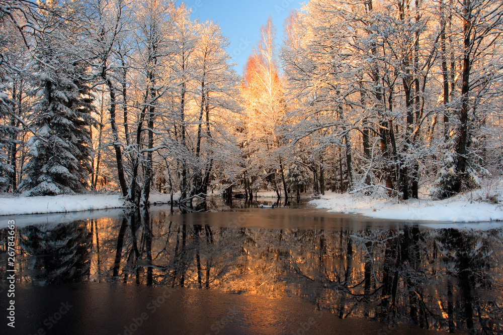 Golden sunlight reflection Golden sunlight reflection