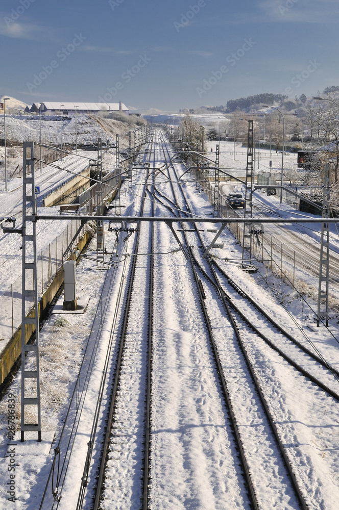 Naklejka premium Vias de tren nevadas