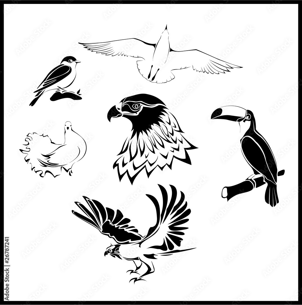 Naklejka premium vector birds set