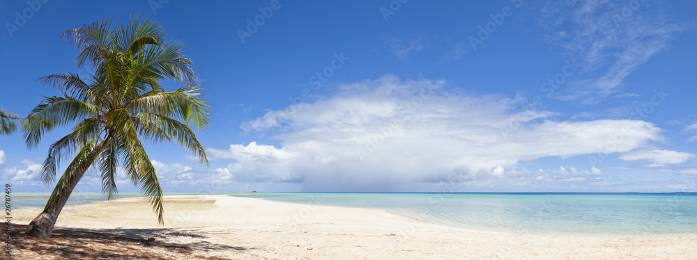 Palm tree and white sand beach panoramic view