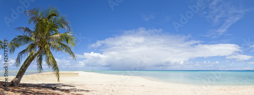 Fototapeta Naklejka Na Ścianę i Meble -  Palm tree and white sand beach panoramic view