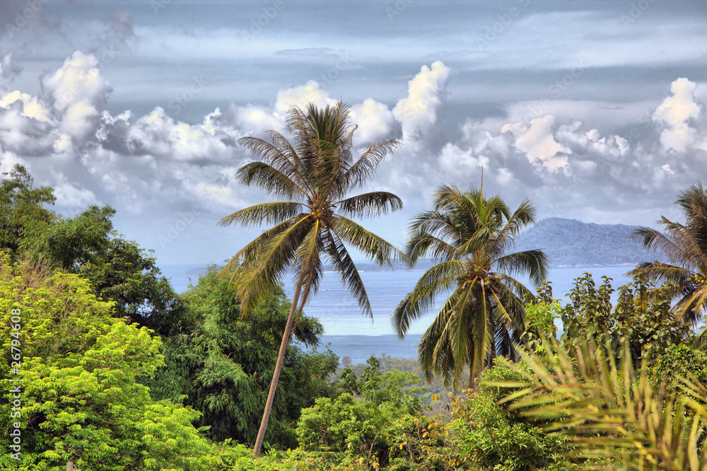 Beautiful tropical landscape
