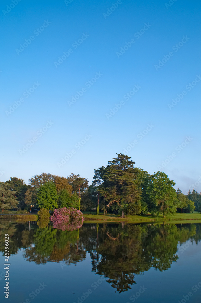 Fototapeta premium landscape