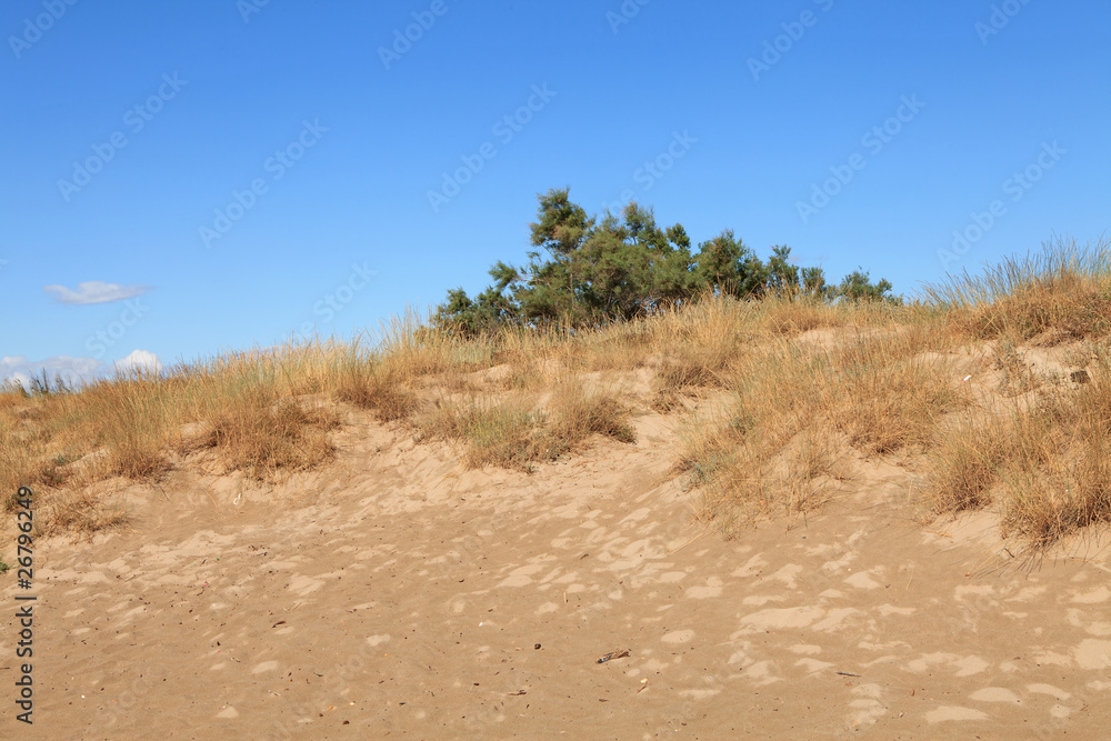 sand dunes sand dunes