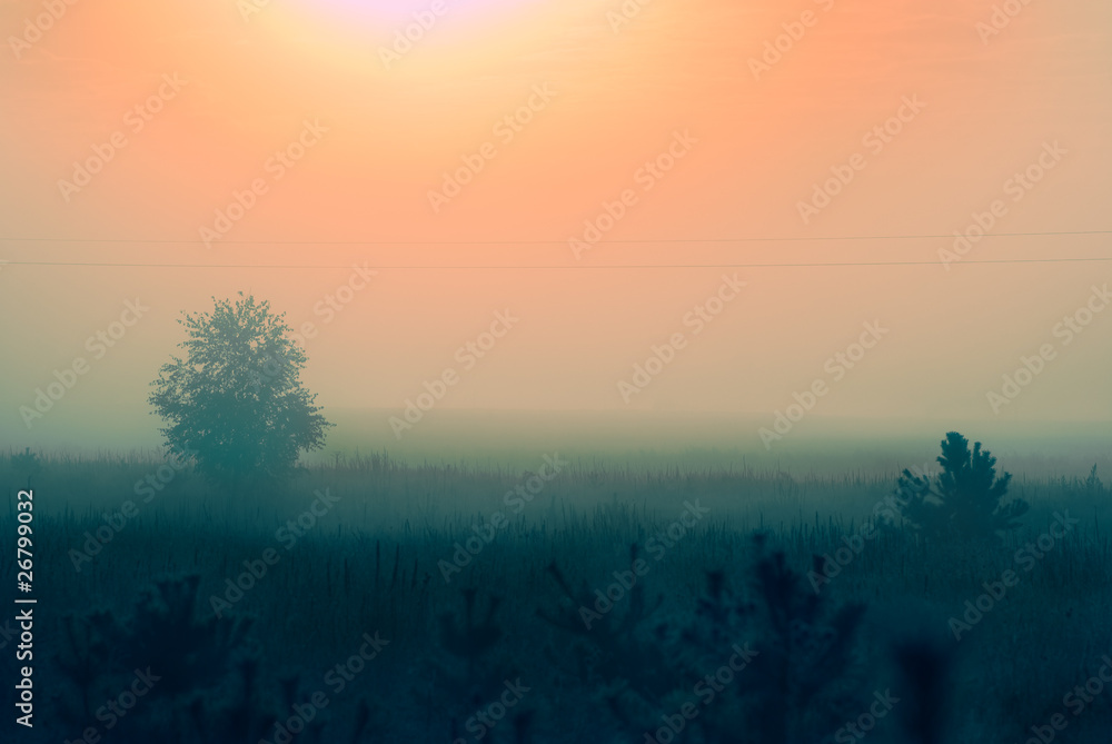 Early morning sunrise with mist on the field