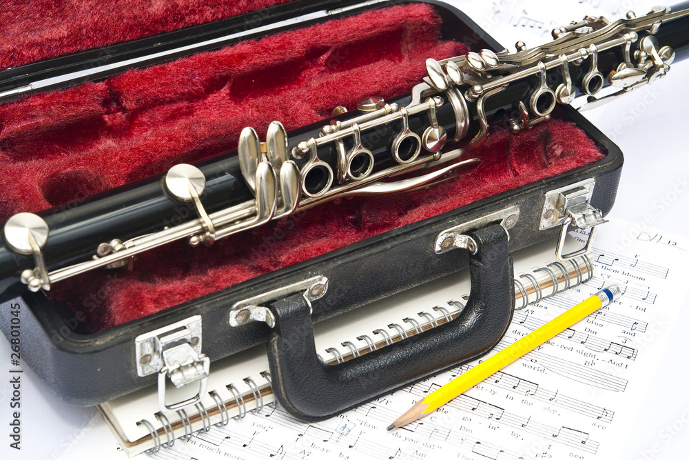 Obraz premium clarinet