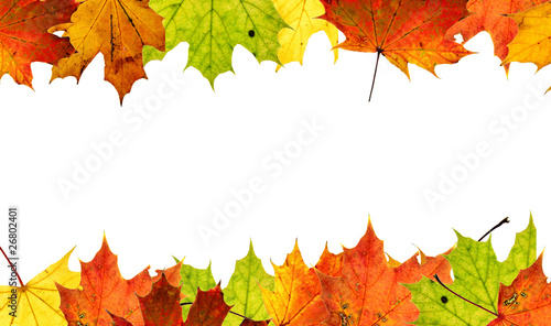 Autumn leaves