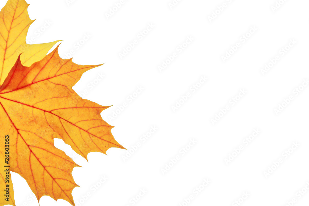 Herbst Herbst