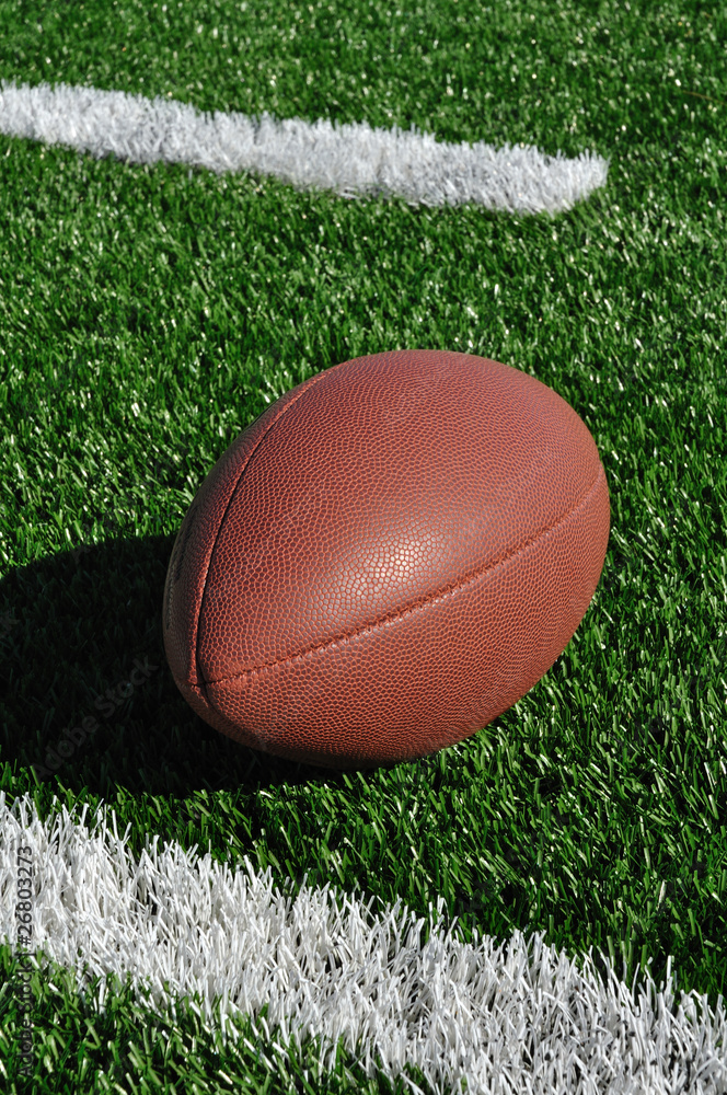 American Football on Artificial Turf American Football on Artificial Turf