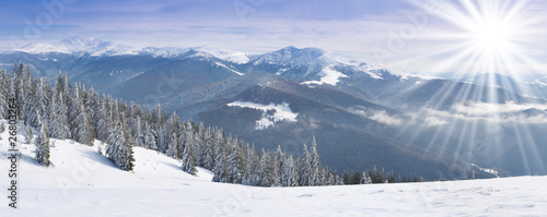 Beautiful winter landscape in the Carpathian mountains