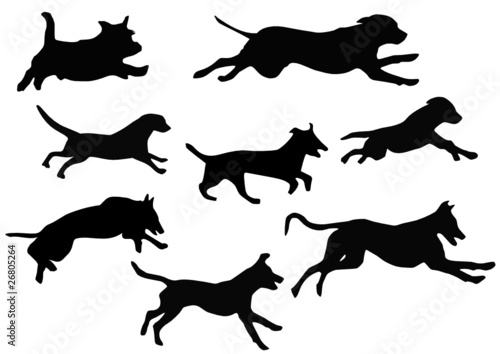 dogs running
