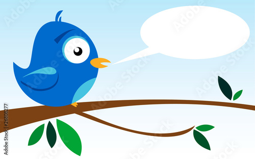 bird on a branch