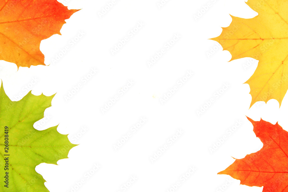 Fototapeta premium Herbst