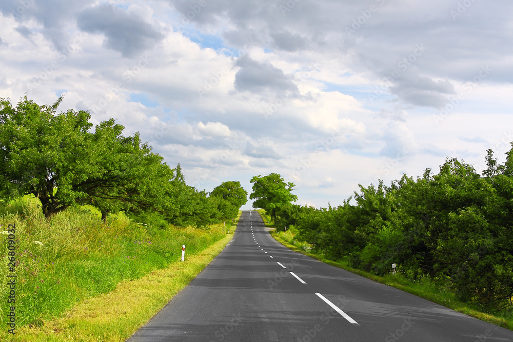 Fototapeta premium Empty road