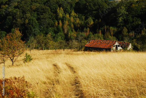 countryside