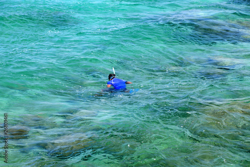 plongeur en apnée dans le lagon de Saint-Pierre, Réunion
