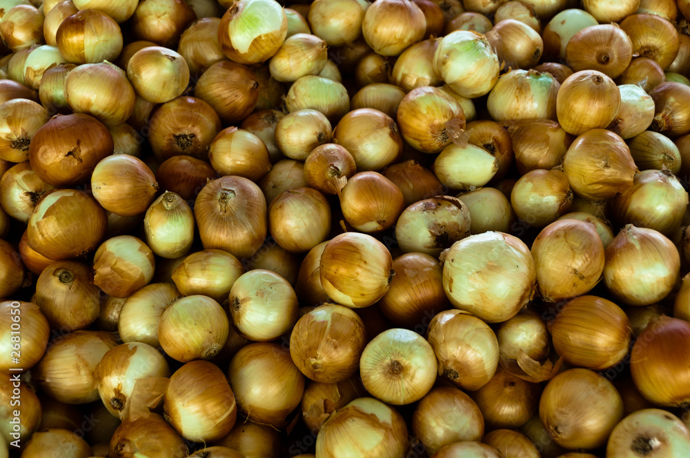 Onions Onions