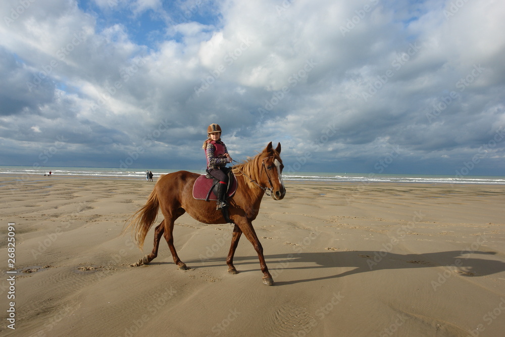 Naklejka premium a cheval sur la plage