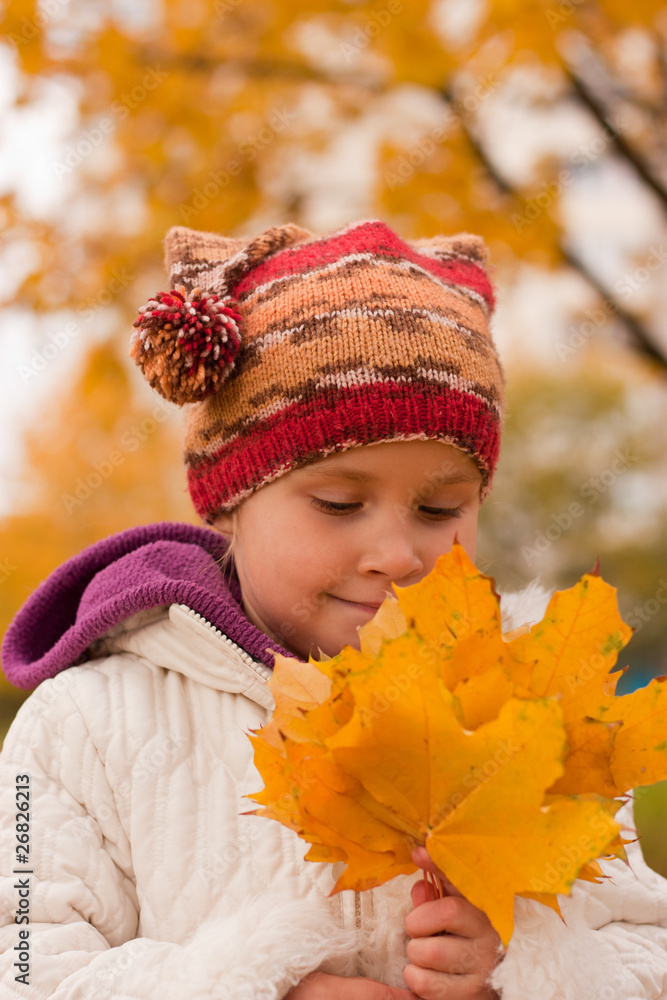 Girl gathering yellow maple leaves Girl gathering yellow maple leaves