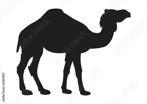 camel silhouette