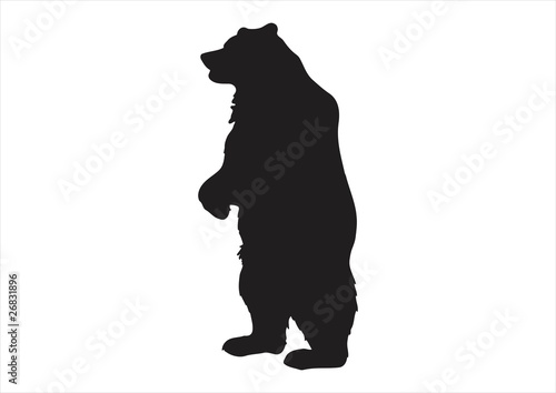 bear shilouette