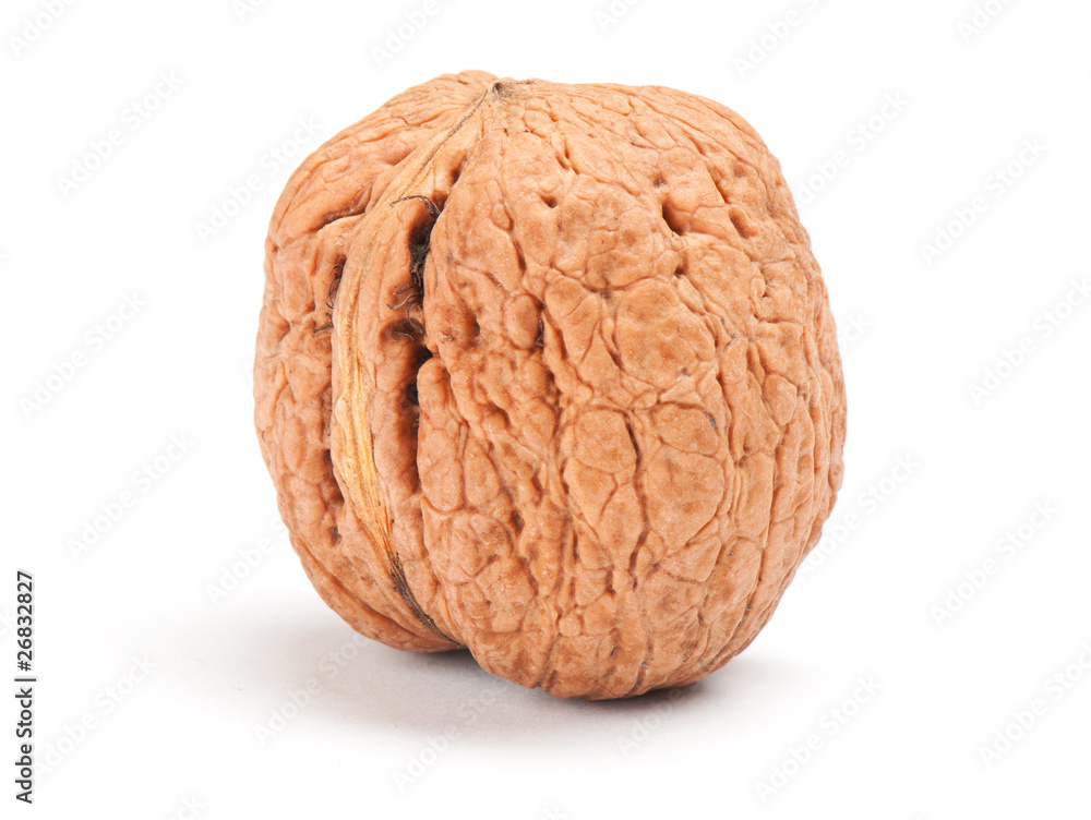 walnut on white background walnut on white background