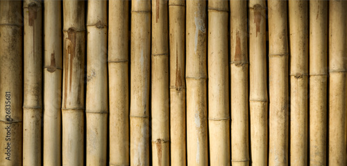 native style bamboo background