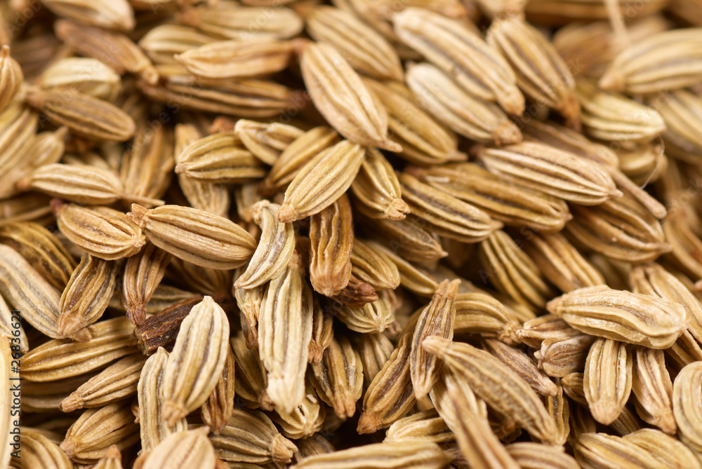 Fennel seeds Fennel seeds