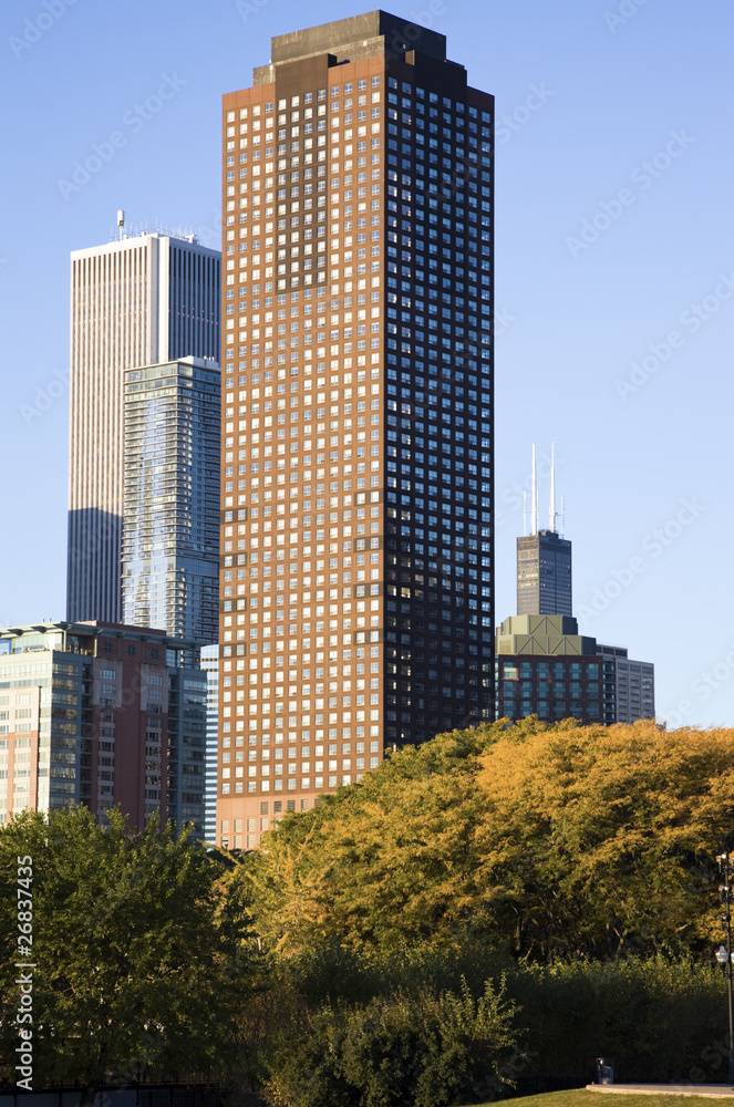 Fall in Chicago Fall in Chicago