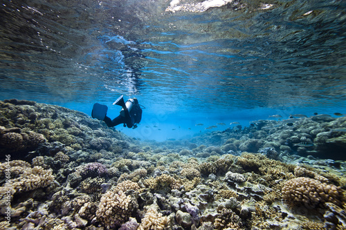 Scubadiving and coral