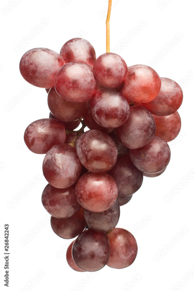 Fototapeta premium juicy grapes