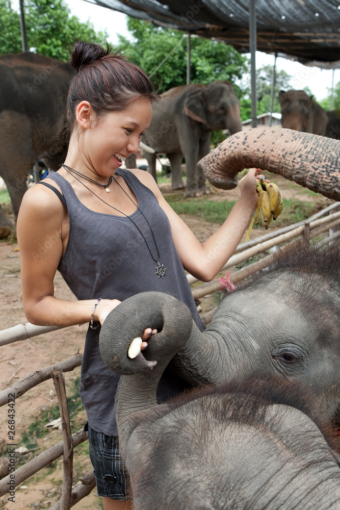 Obraz premium Mädchen füttert Elefanten