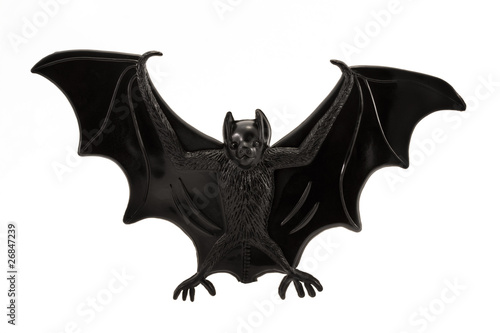 plastic toy bat over white