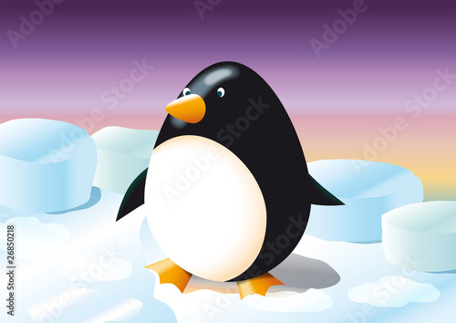 pinguino ovale sulla banchisa