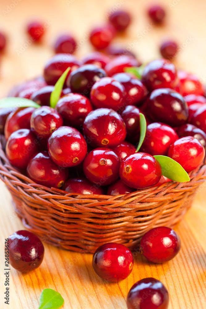 Fresh red cranberries Fresh red cranberries