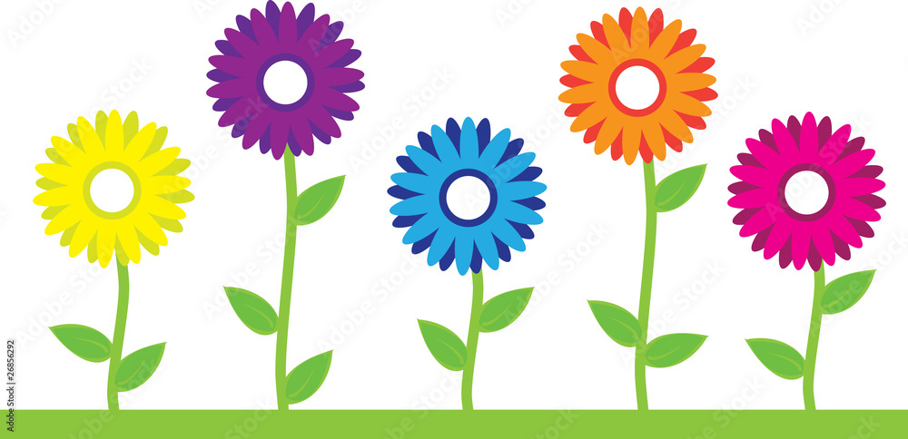 Obraz premium Colorful Flowers