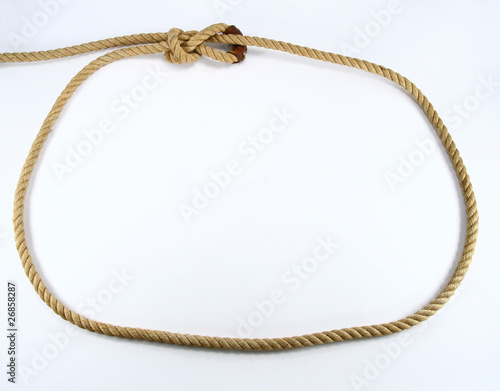 Canvas Print Oblong lasso loop