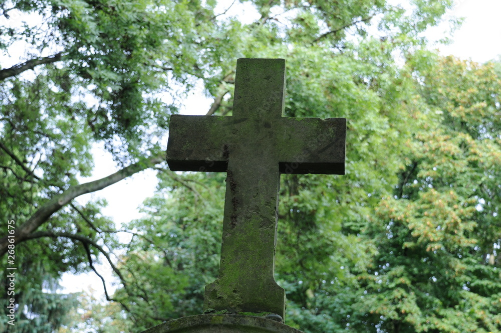 Kreuz Kreuz
