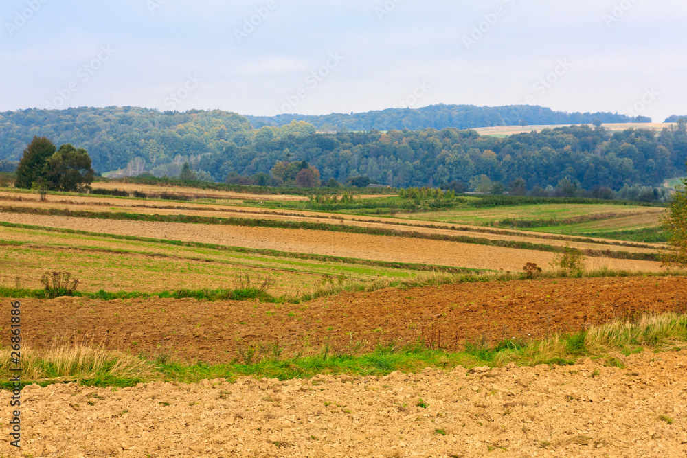 Autumn rural landscape