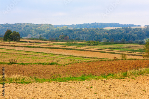 Autumn rural landscape